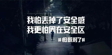 网红人物介绍文案